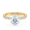 round-diamond-ring-halo-pave-yello-18k-gold