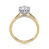 round-lab-diamond-hidden-halo-cathedral-ring-18k-yellow-gold